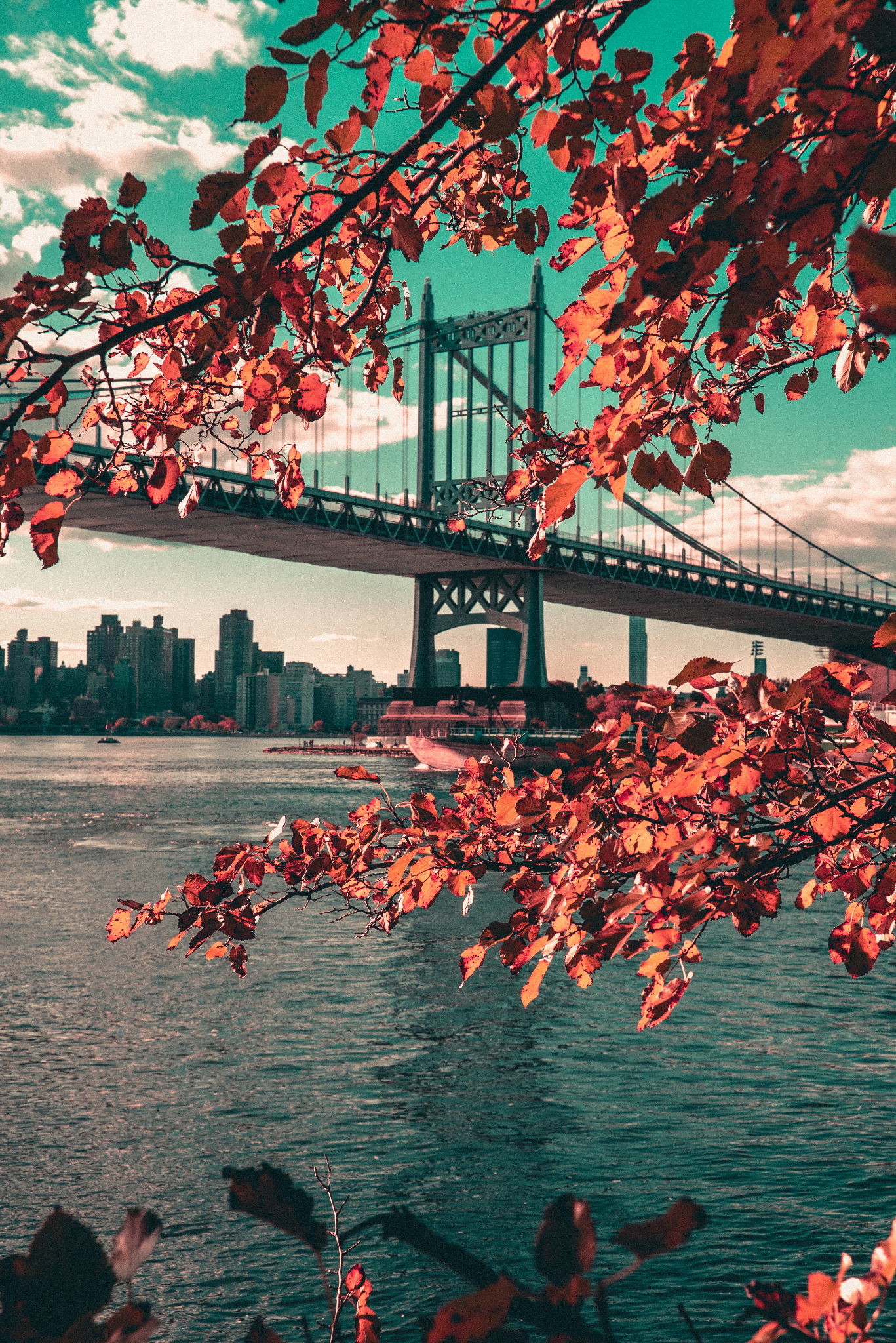 RFK Bridge framed by vivid autumn leaves photographed by Rory Duffy
