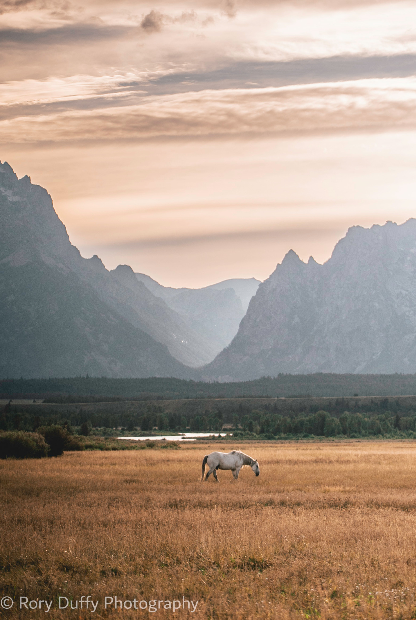 Lone horse grazing beneath a mountain valley photographed by Rory Duffy